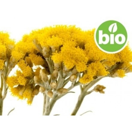 Bio-Hydrolat der Gelben Immortelle – mikrofiltriert