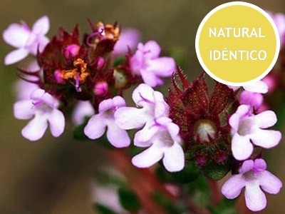 Olejek eteryczny yuzu identyczny z naturalnym