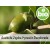 Odbarwiony olej jojoba z 1. tłoczenia BIO